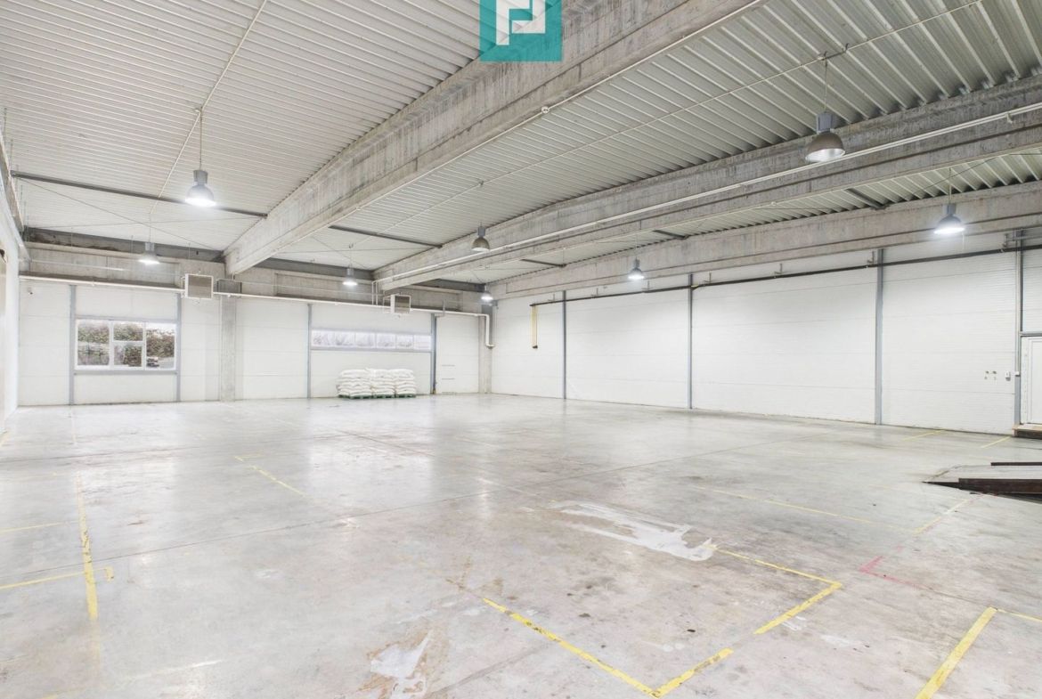 Hală industrială de 4.155 mp Calea Borșului - foto 2