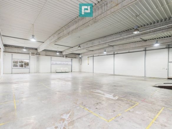 Hală industrială de 4.155 mp Calea Borșului - foto 2