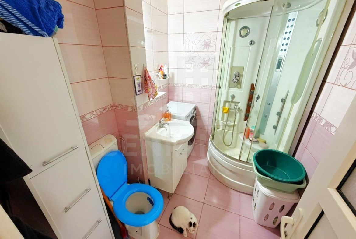 2 Decomandate-Lapus Arges-Mobilat-Utilat-Ac-54mp-Orientare N-V-Liber - foto 8