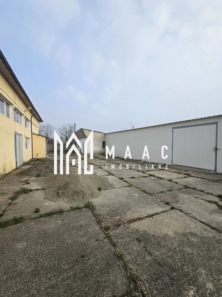 Hala I Spatiu Comercial I Nocrich - foto 2