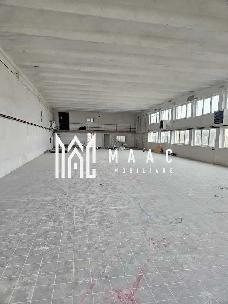 Hala I Spatiu Comercial I Nocrich - foto 3