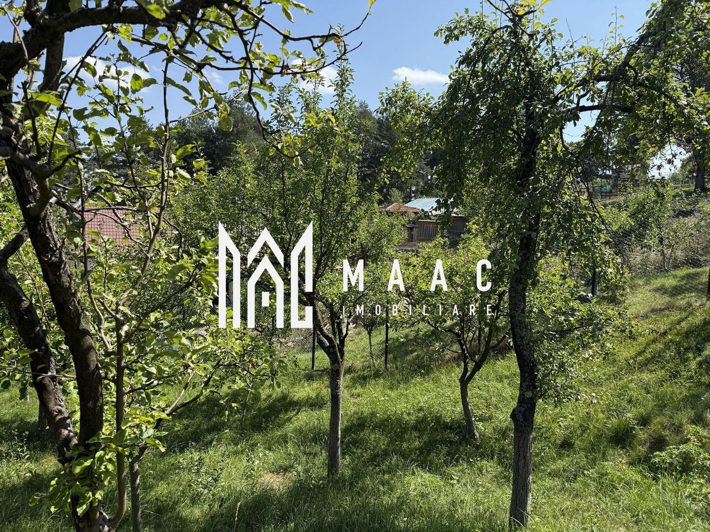 Casă I Teren 1550 mp I Sat Vale I Mărginimea Sibiului - foto 3 Casă I Teren 1550 mp I Sat Vale I Mărginimea Sibiului - foto 3