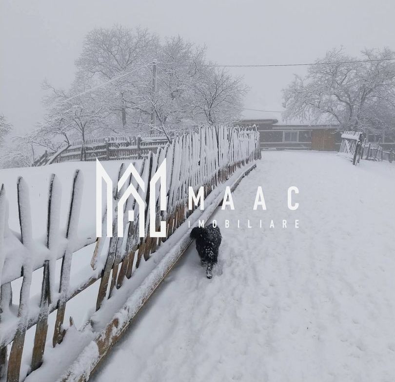 Casa I 60000 mp pamant I  Cugir I Alba - foto 4