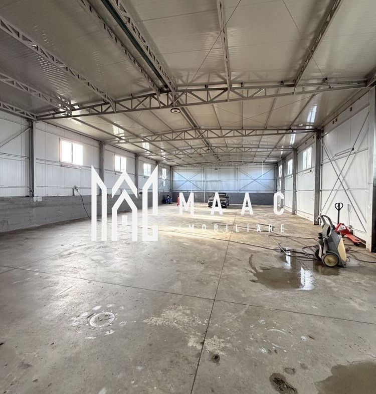 Hala Industrială | 300 MP | Calea Șurii Mici - foto 2