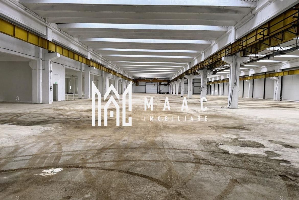 Hala producție I 6857 mp I Acces TIR I Pod Rulant I Mârșa - Imagine principala