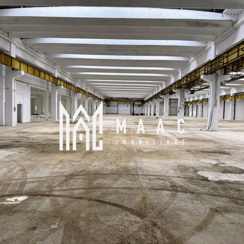 Hala producție I 6857 mp I Acces TIR I Pod Rulant I Mârșa - Imagine principala