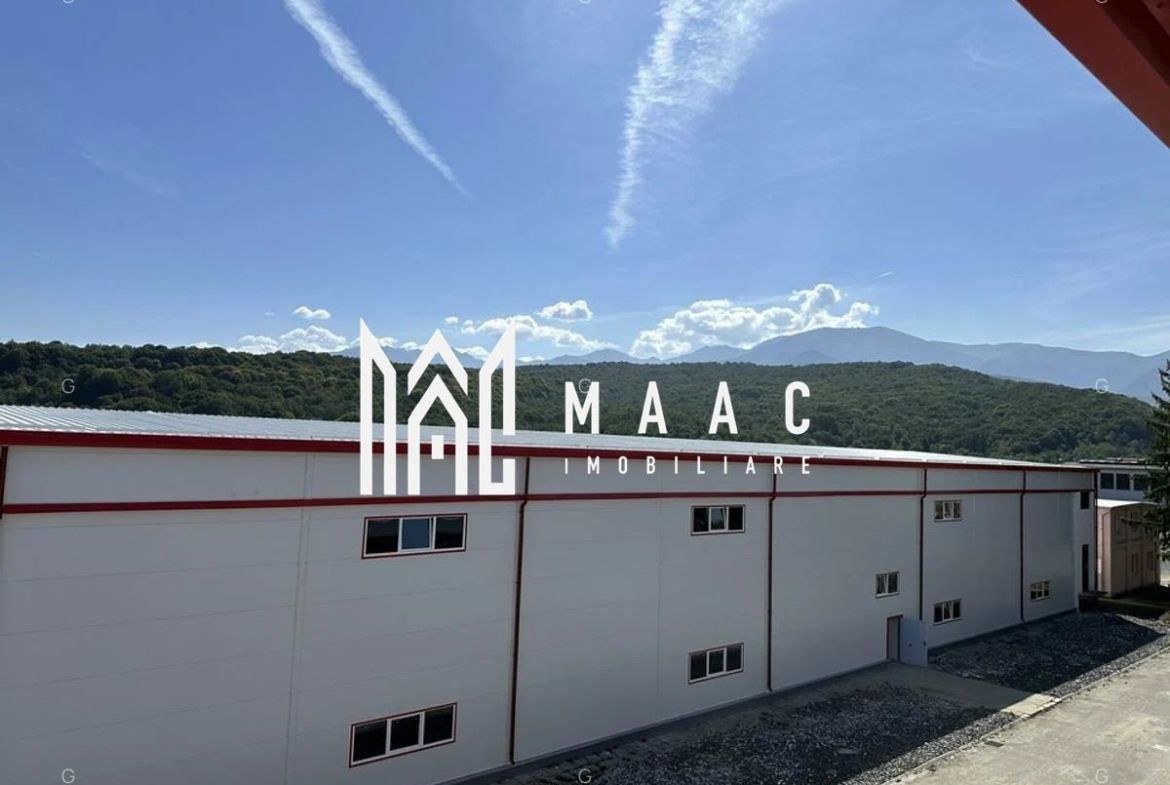 Hala producție I 6857 mp I Acces TIR I Pod Rulant I Mârșa - foto 5