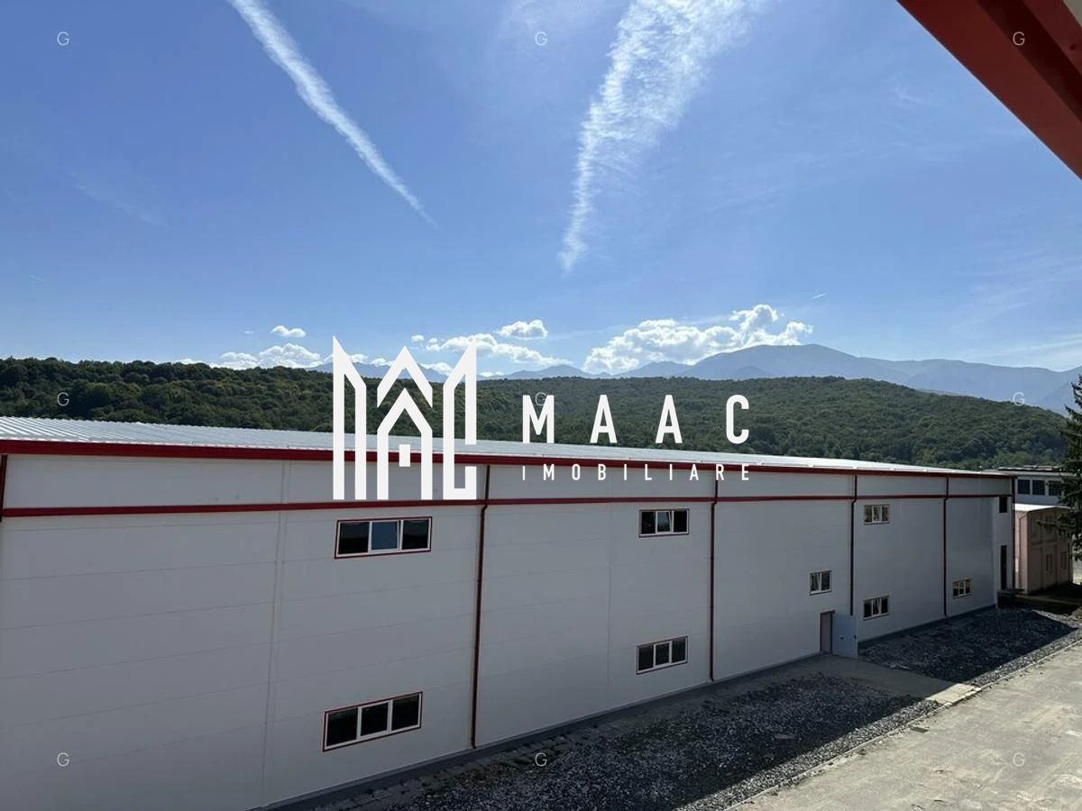 Hala producție I 6857 mp I Acces TIR I Pod Rulant I Mârșa - foto 5 Hala producție I 6857 mp I Acces TIR I Pod Rulant I Mârșa - foto 5