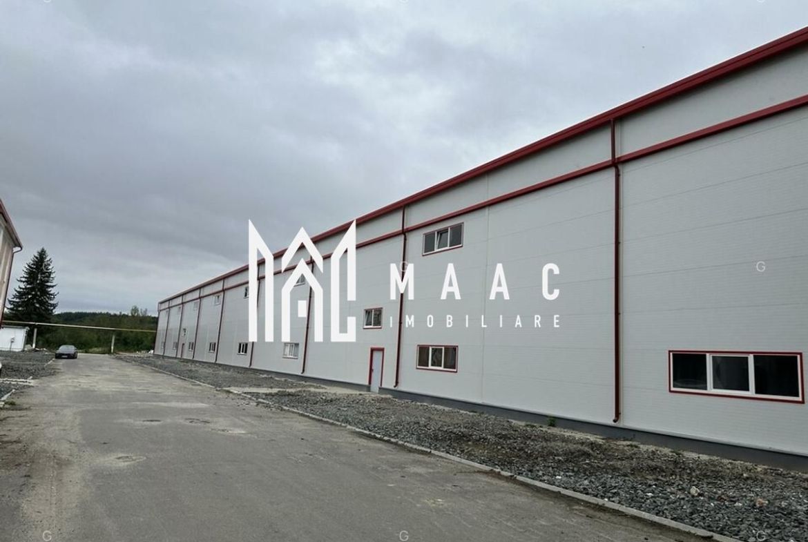 Hala producție I 6857 mp I Acces TIR I Pod Rulant I Mârșa - foto 6