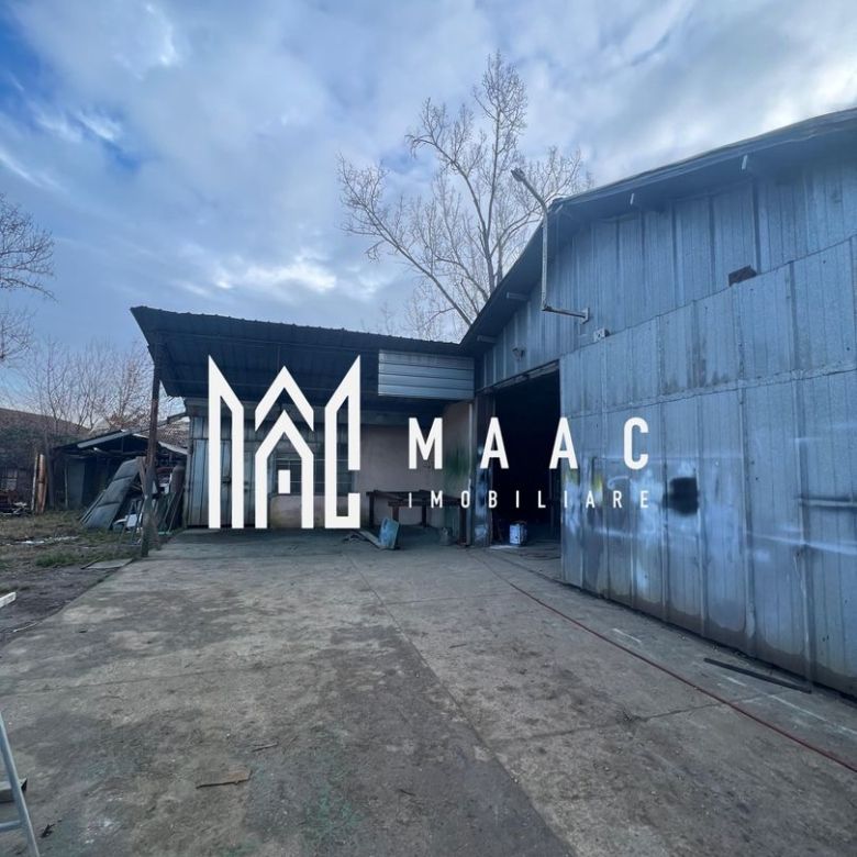 Hala | 380 MP | Teren 800 MP - Imagine principala