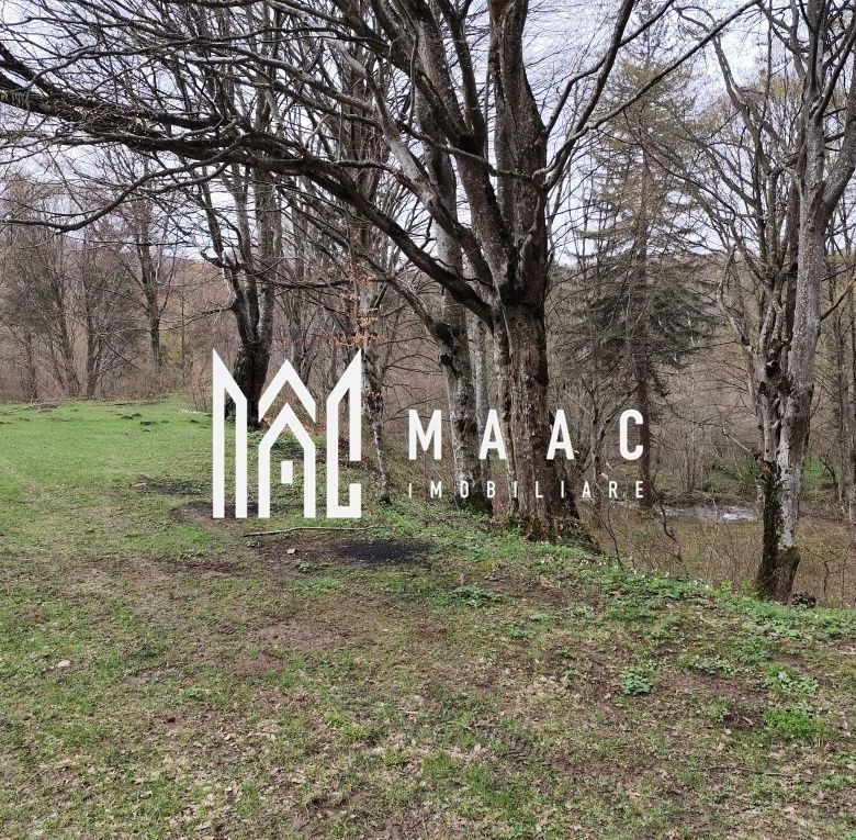 Teren Intravilan | 2000Mp |  Valea Avrigului - Imagine principala