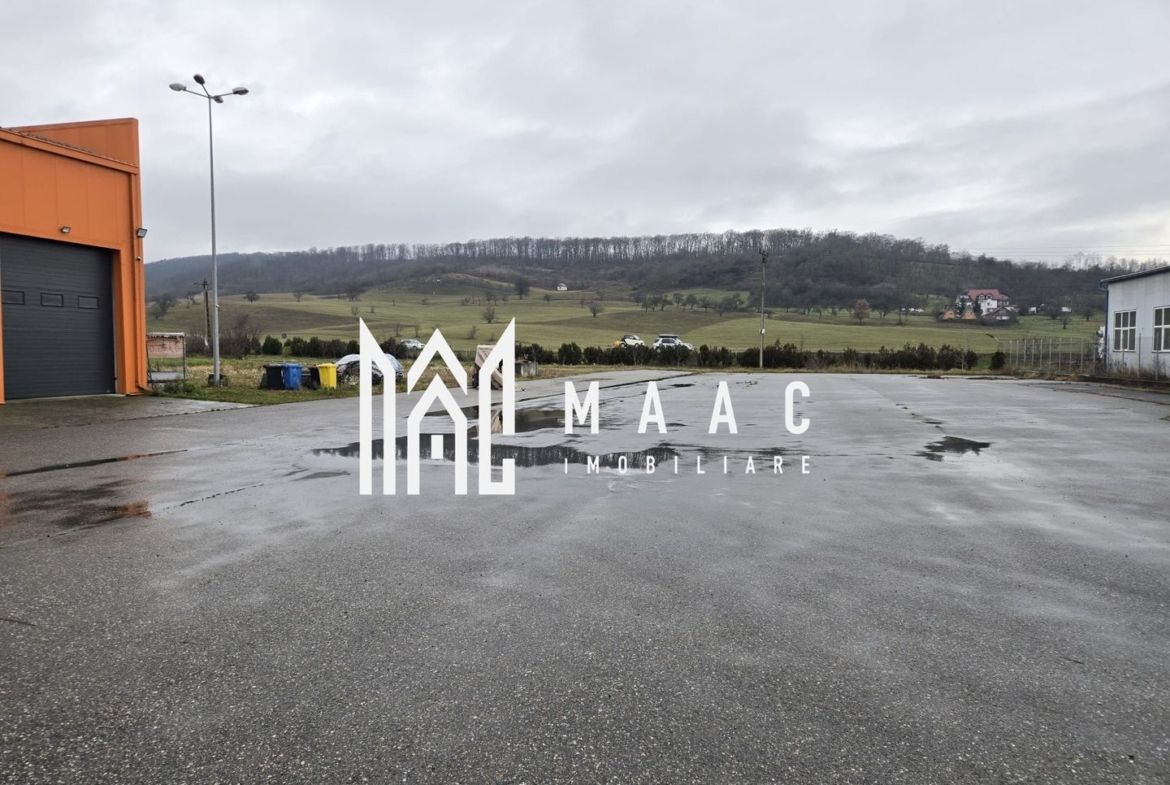 Hală cu Birouri și Teren 12.000 mp I De Vânzare I Bradu I Sibiu - Imagine principala