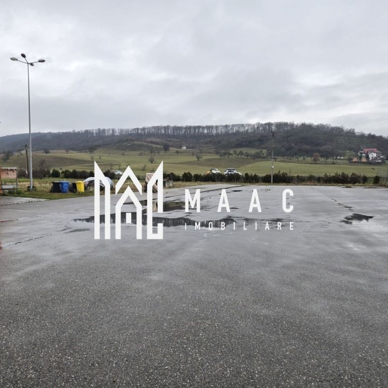Hală cu Birouri și Teren 12.000 mp I De Vânzare I Bradu I Sibiu - Imagine principala