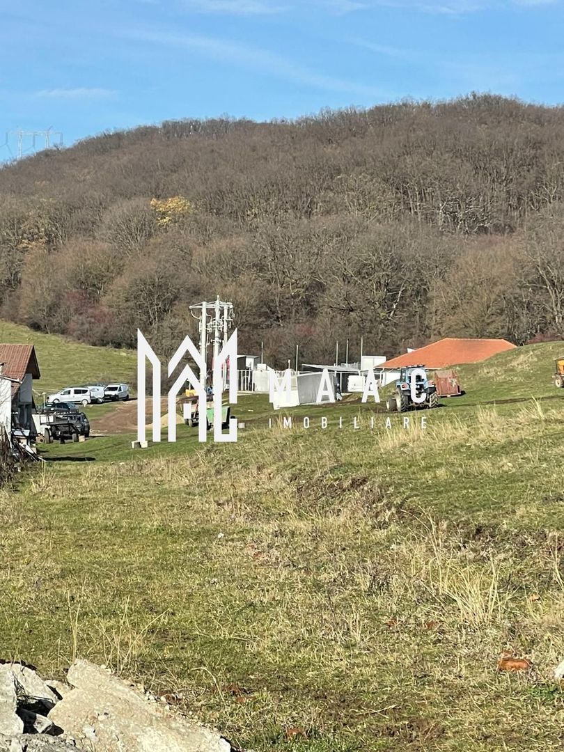 Teren 9.000 mp I Deschidere 96 ml I Curent pe Teren I lângă Gusterland - foto 3 Teren 9.000 mp I Deschidere 96 ml I Curent pe Teren I lângă Gusterland - foto 3