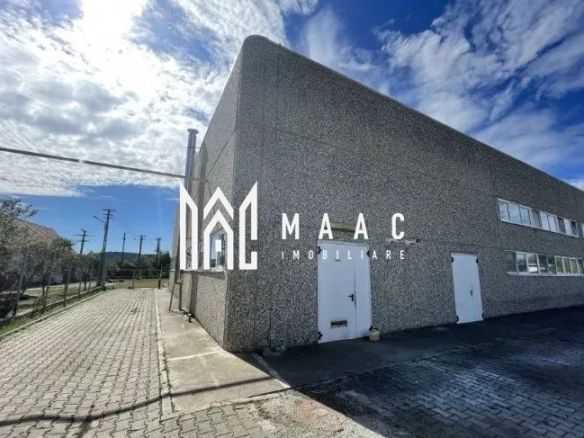 Spațiu industrial 1000mp | Acces tir | Teren 2500mp | Selimbar