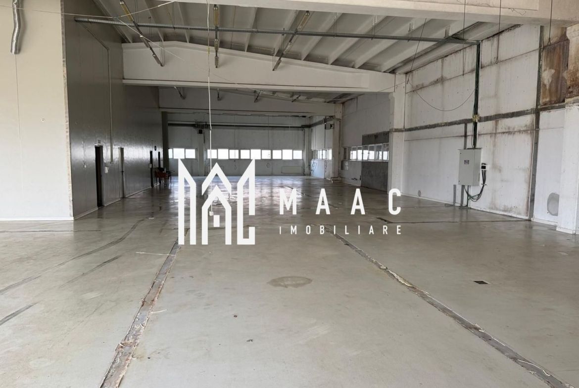 Spațiu industrial 1000mp | Acces tir | Teren 2500mp | Selimbar - foto 3