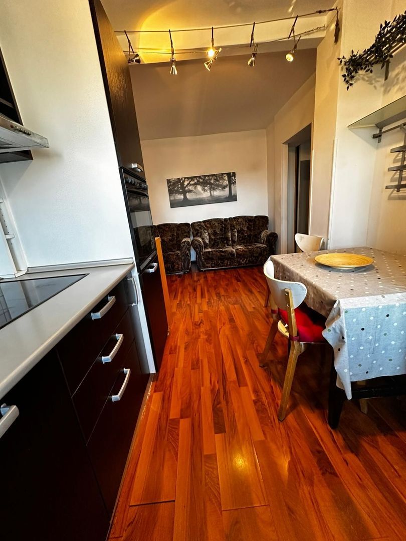 Banu Manta Titulescu apartament 2 camere mobilat de inchiriat - foto 6