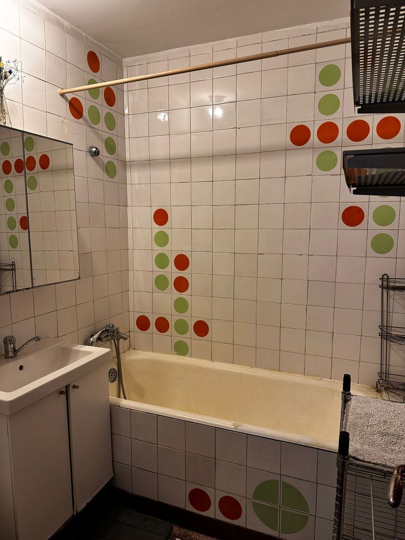 Banu Manta Titulescu apartament 2 camere mobilat de inchiriat - foto 11