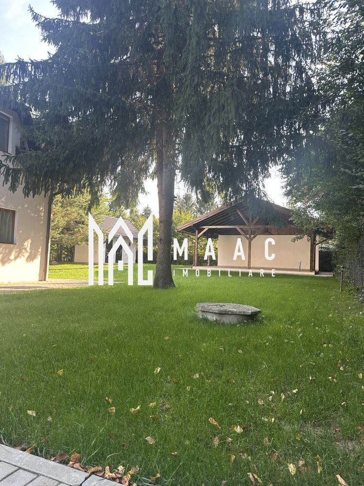 Oportunitate Valea Avrigului | Afacere la cheie |  Casa de vacanta | - foto 3