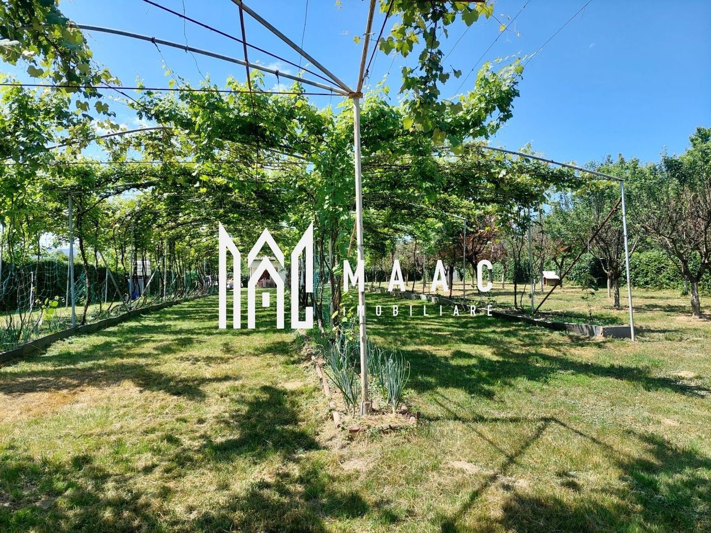 Teren | Intravilan 2.166 Mp | Construcție existenta |  Pădurea Dumbrava - foto 2