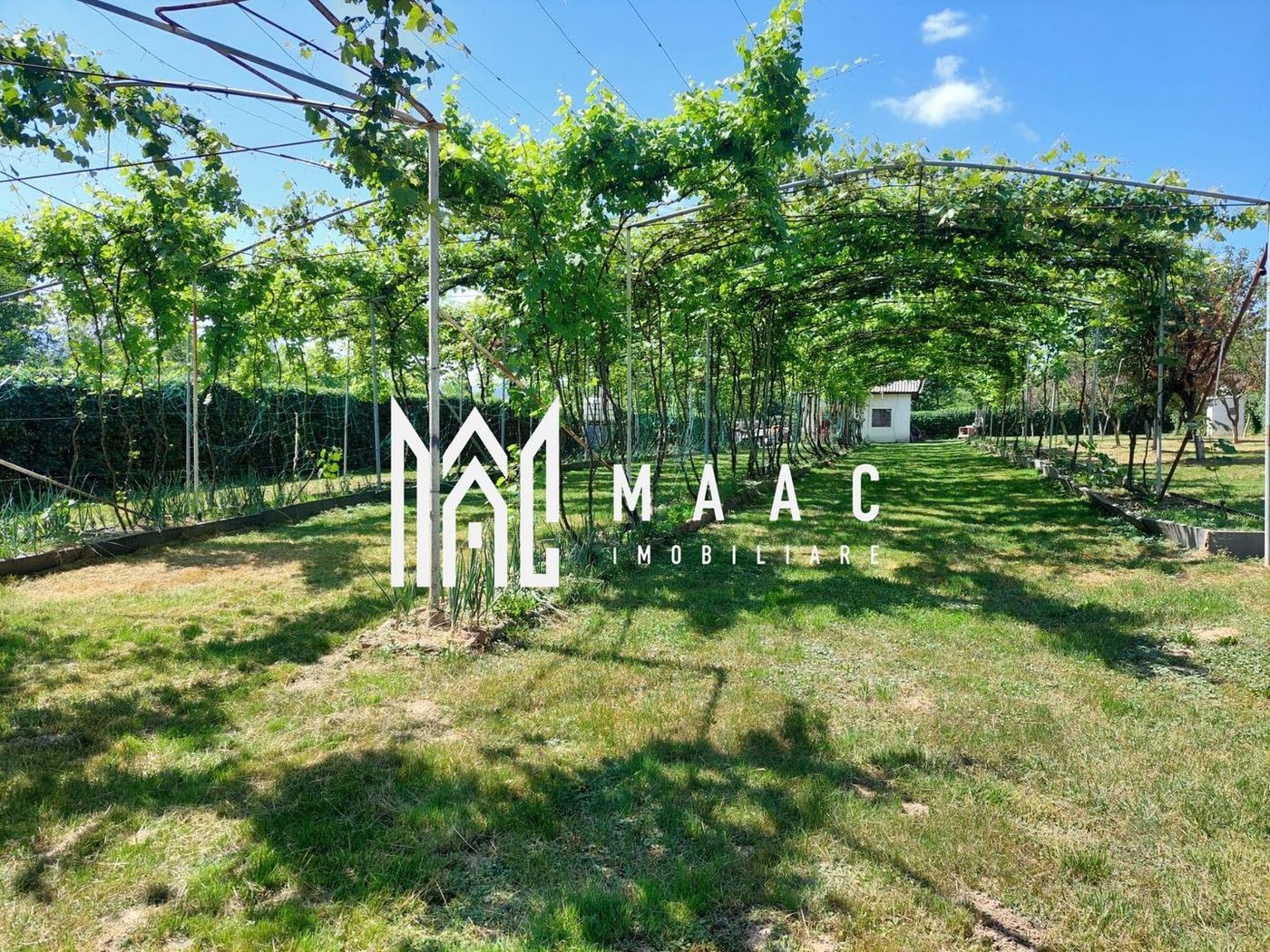 Teren | Intravilan 2.166 Mp | Construcție existenta |  Pădurea Dumbrava - foto 3
