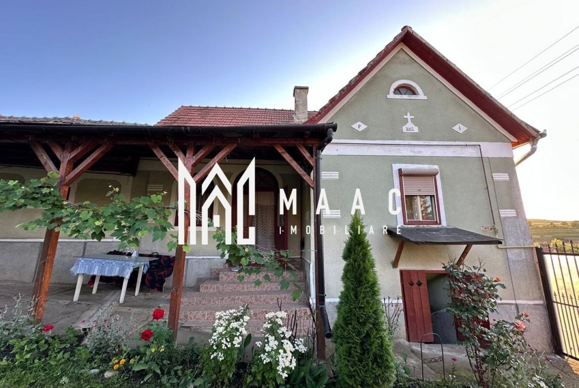 Casă tradițională I 100 mp utili I teren 1830 mp I Armeni I SIBIU - foto 3