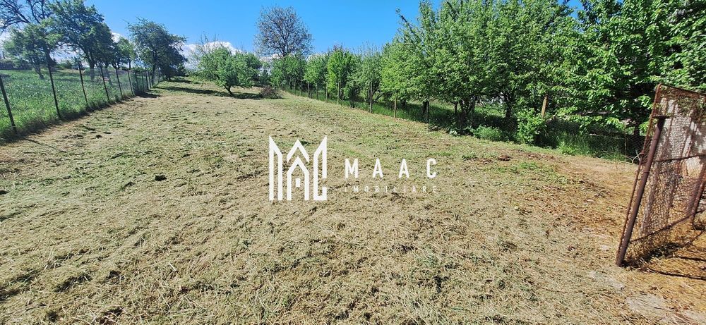 Casa 4 Camere | 1300 mp Teren | Miercurea Sibiului - foto 4