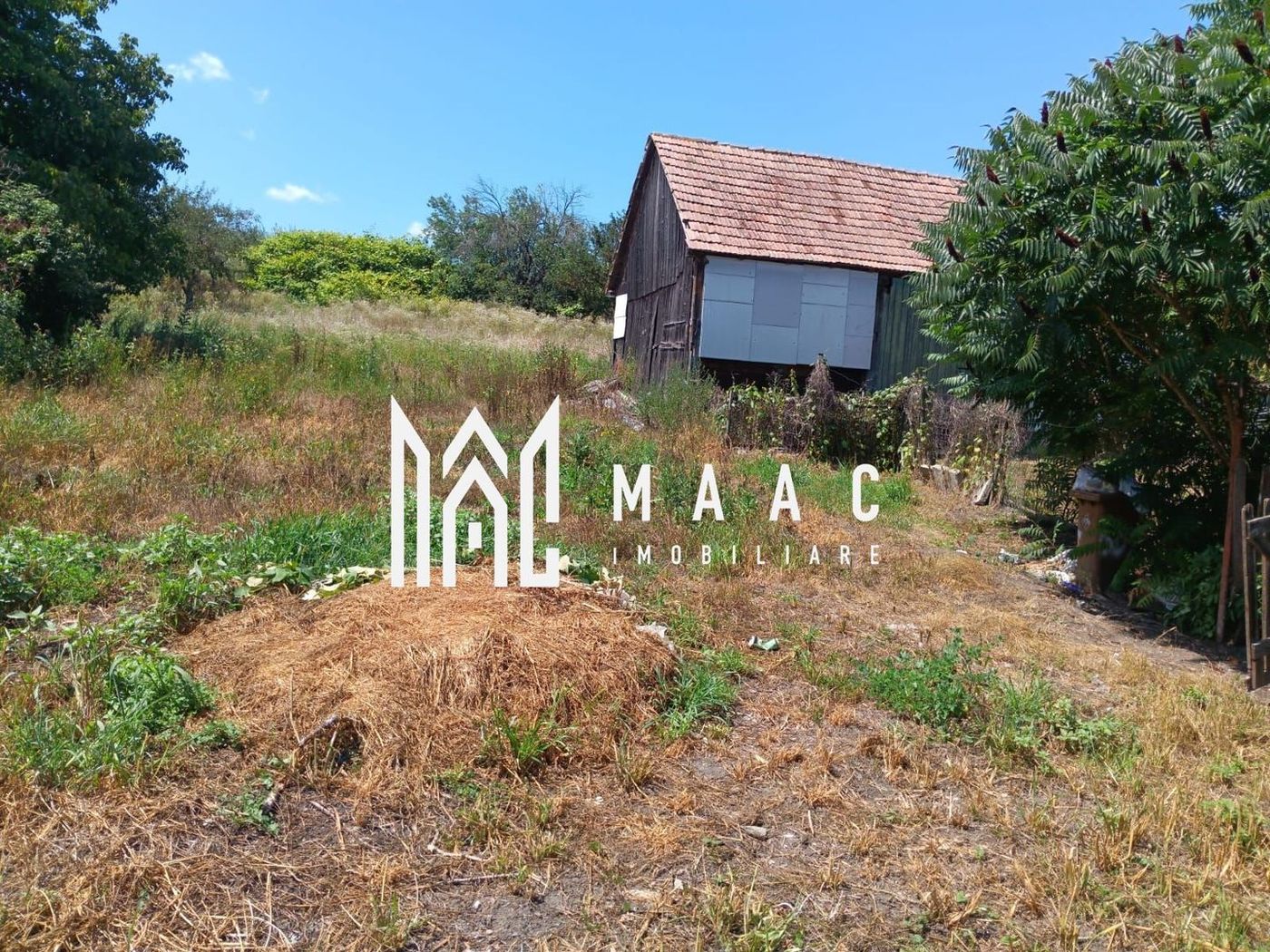 Casa 4 camere | Teren 2000 | Alțâna - foto 10