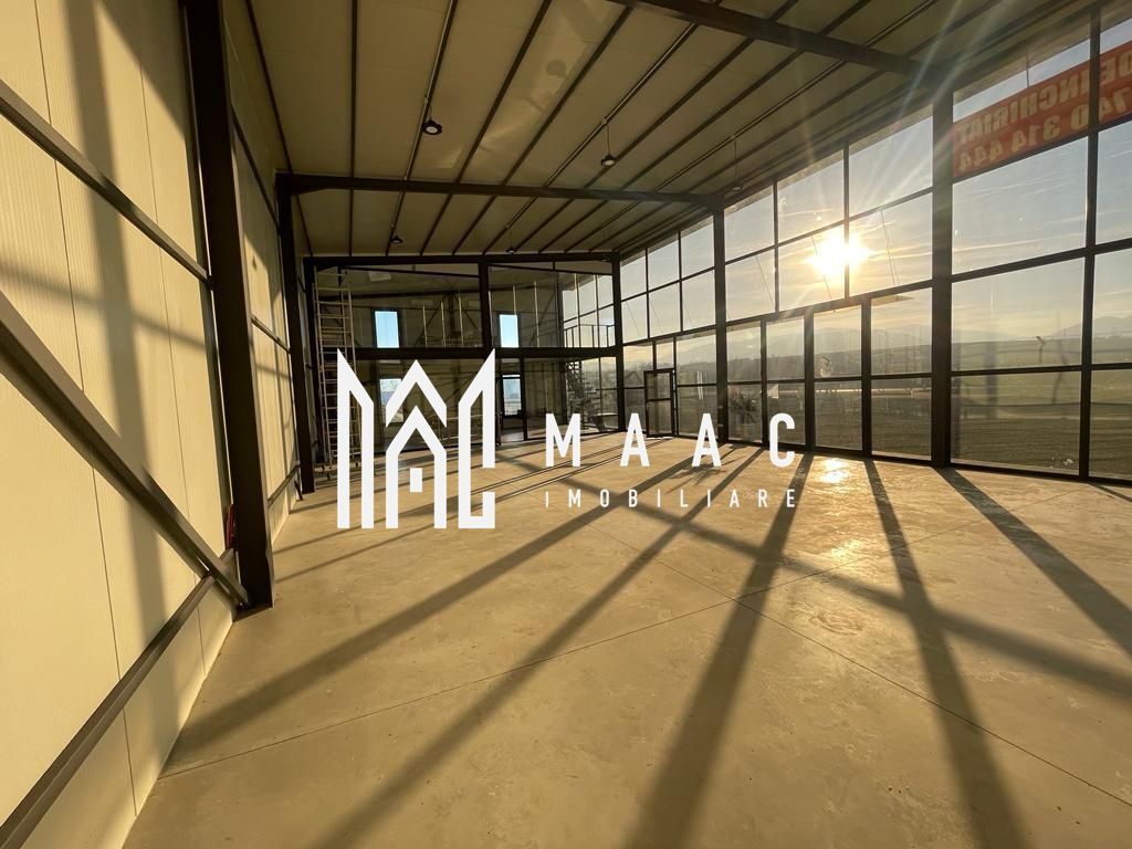 Hala | 250 MP | Teren 11.000 mp | - foto 8