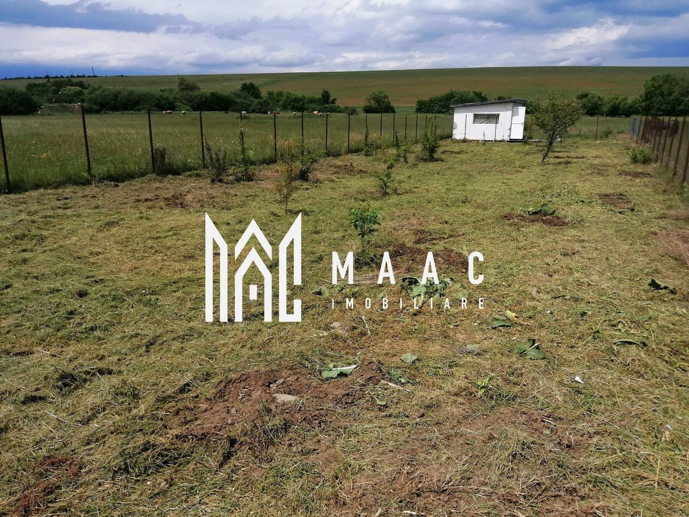 Teren Extravilan | Imprejmuit | 2216mp | Sura Mica - Imagine principala