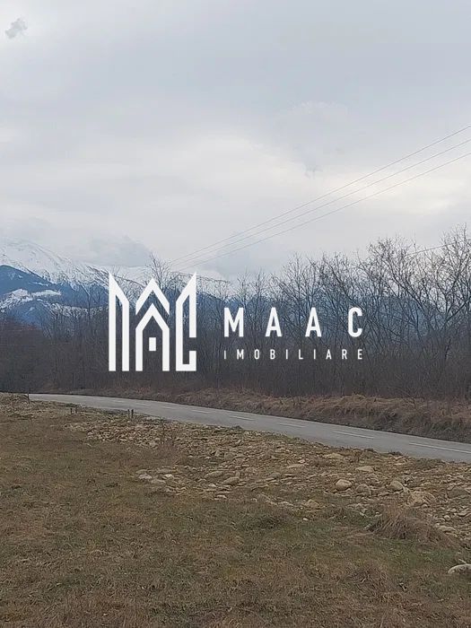 Teren intravilan I Valea Avrigului I 5000 mp - Imagine principala