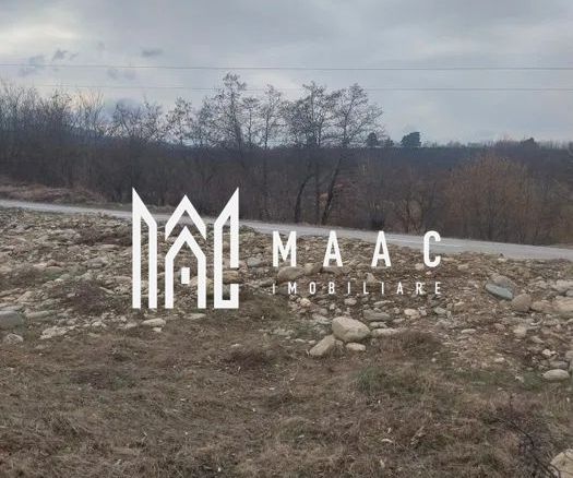 Teren intravilan I Valea Avrigului I 5000 mp - foto 3
