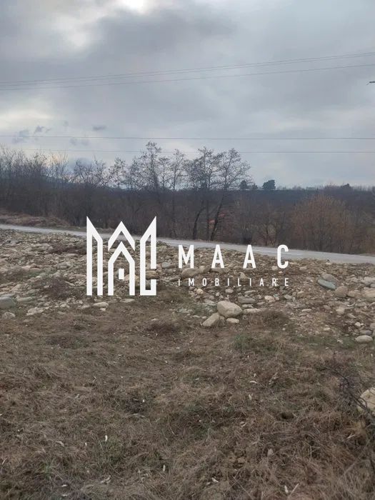 Teren intravilan I Valea Avrigului I 5000 mp - foto 3