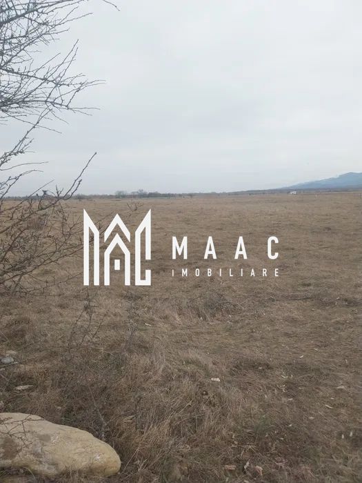 Teren intravilan I Valea Avrigului I 5000 mp - foto 4