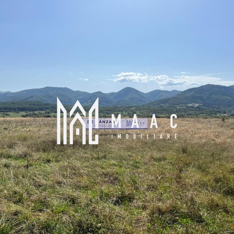 Teren extravilan | 7.800 mp | Saliste - Imagine principala