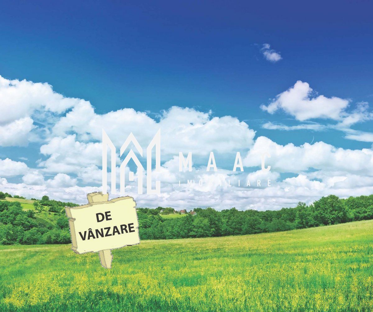 Teren extravilan | 7.800 mp | Saliste - foto 3