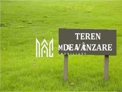 Teren extravilan | 12.300 mp | Zona Dedeman - foto 2