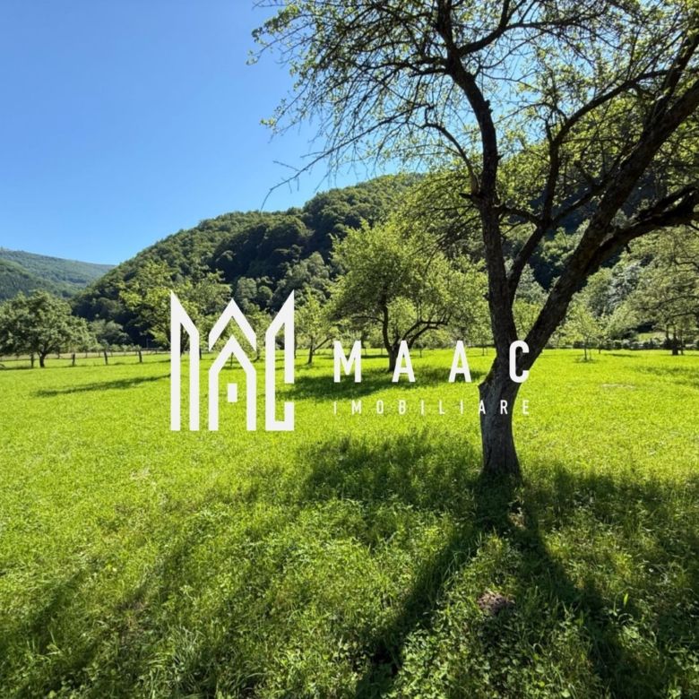 Teren Intravilan | 3050 Mp | Ieșire la Râu | Râul Sadului - Imagine principala
