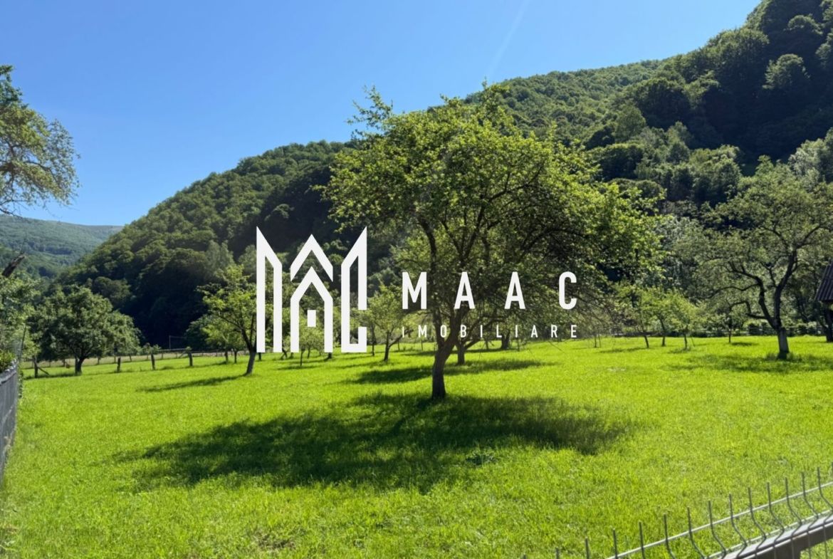 Teren Intravilan | 3050 Mp | Ieșire la Râu | Râul Sadului - foto 8