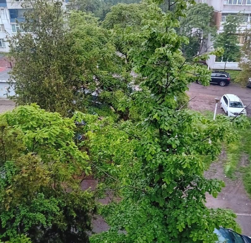 De vanzare -  apartament cu 3 camere decomandate, Tiglina 2, etaj 3/4 - foto 3