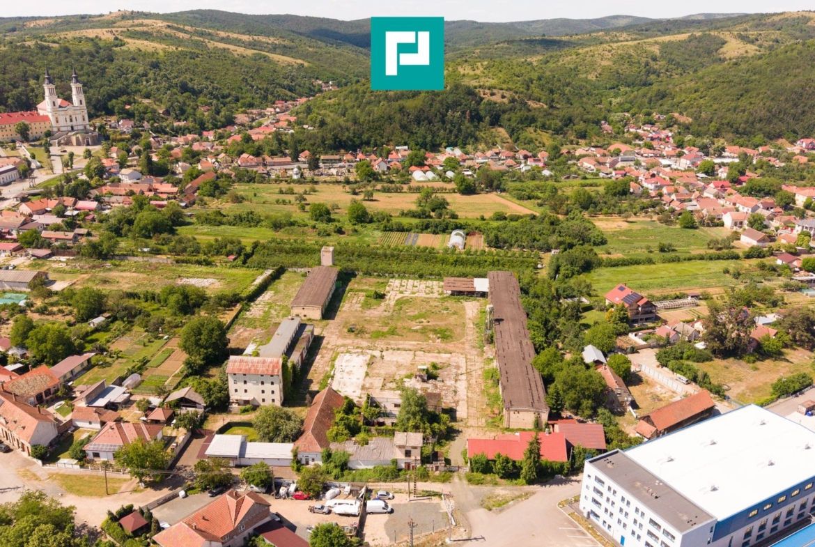 Spațiu industrial cu Teren 13.072 mp în Lipova - foto 3