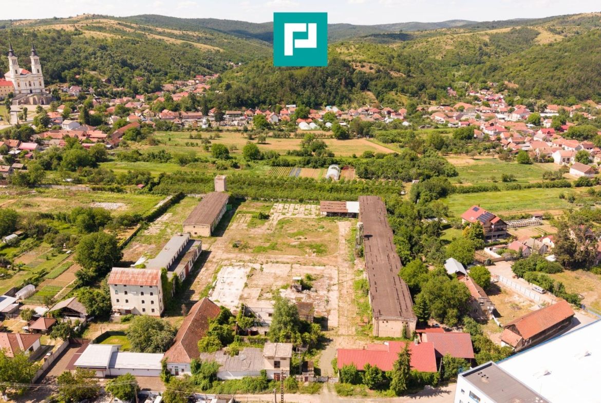 Spațiu industrial cu Teren 13.072 mp în Lipova - foto 4