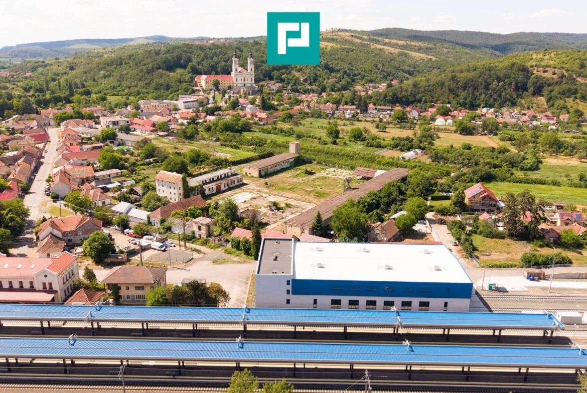 Spațiu industrial cu Teren 13.072 mp în Lipova - foto 5