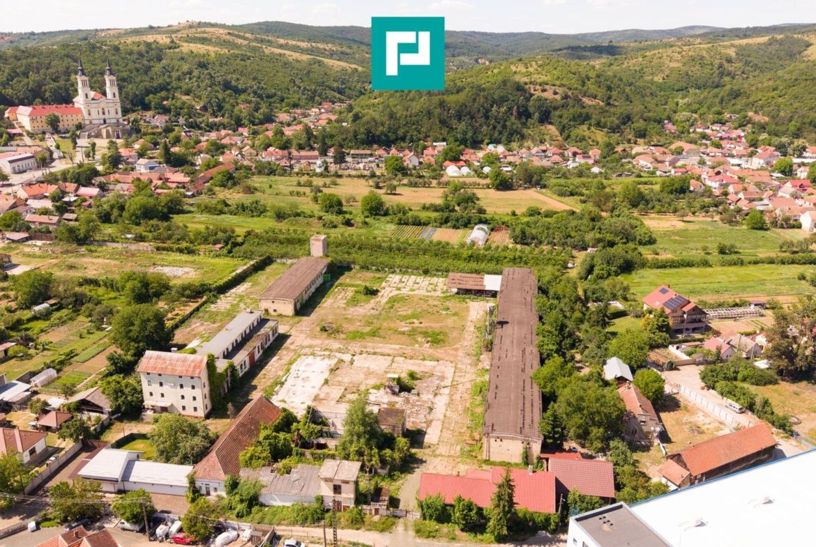 Spațiu industrial cu Teren 13.072 mp în Lipova - foto 6