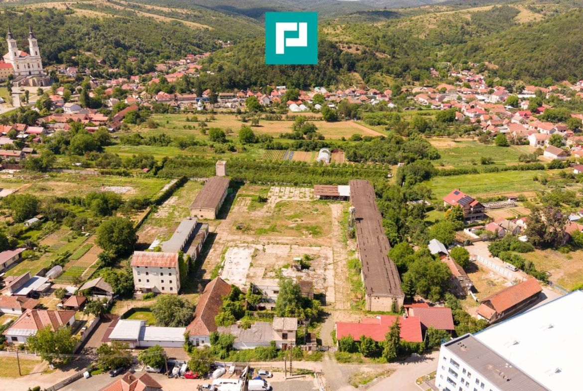 Spațiu industrial cu Teren 13.072 mp în Lipova - foto 7