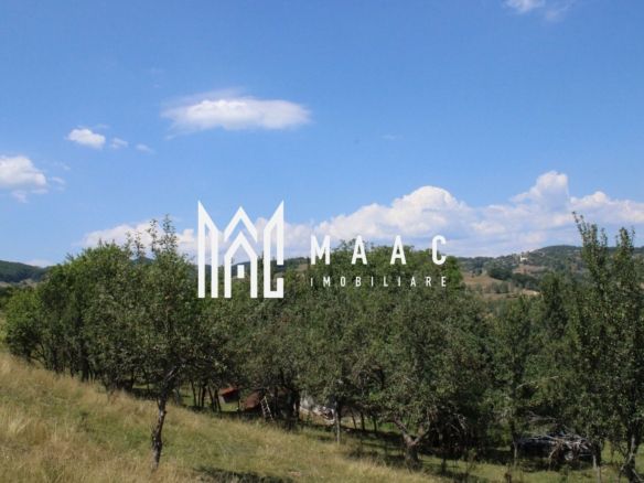 Fabrică de cherestea | Câmpeni | teren 8.000 mp - Imagine principala
