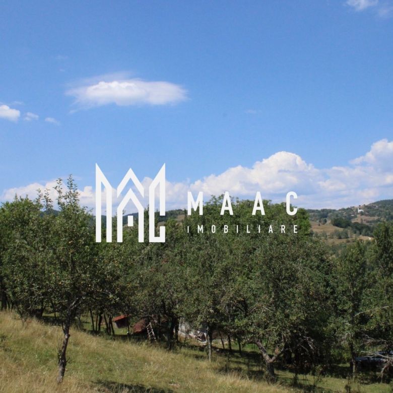 Fabrică de cherestea | Câmpeni | teren 8.000 mp - Imagine principala
