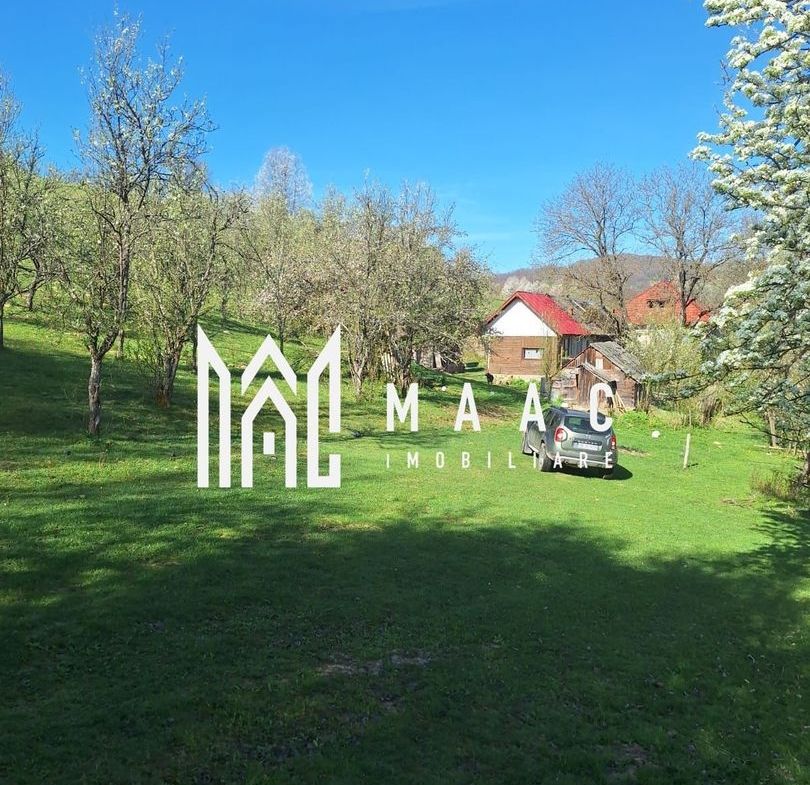 Poiana Sohodol I 5600 MP I Trei corpuri cladiri I Utilitati - foto 7