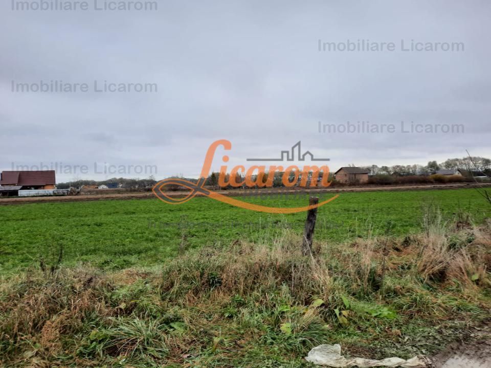 Teren intravilan Stupini ,Central, 823mp,Utilitati,83000 eur - foto 8