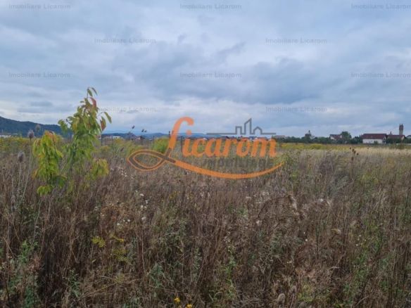 De vanzare teren  502 mp Harman Aleea 14 pret 40000 euro - foto 3